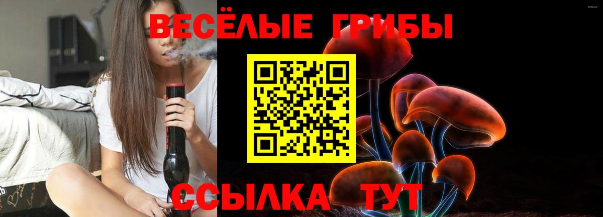 Шатура  Галлюциногенные грибы прущие грибы  Вход с VPN 